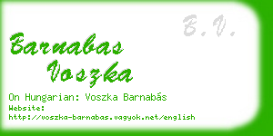 barnabas voszka business card